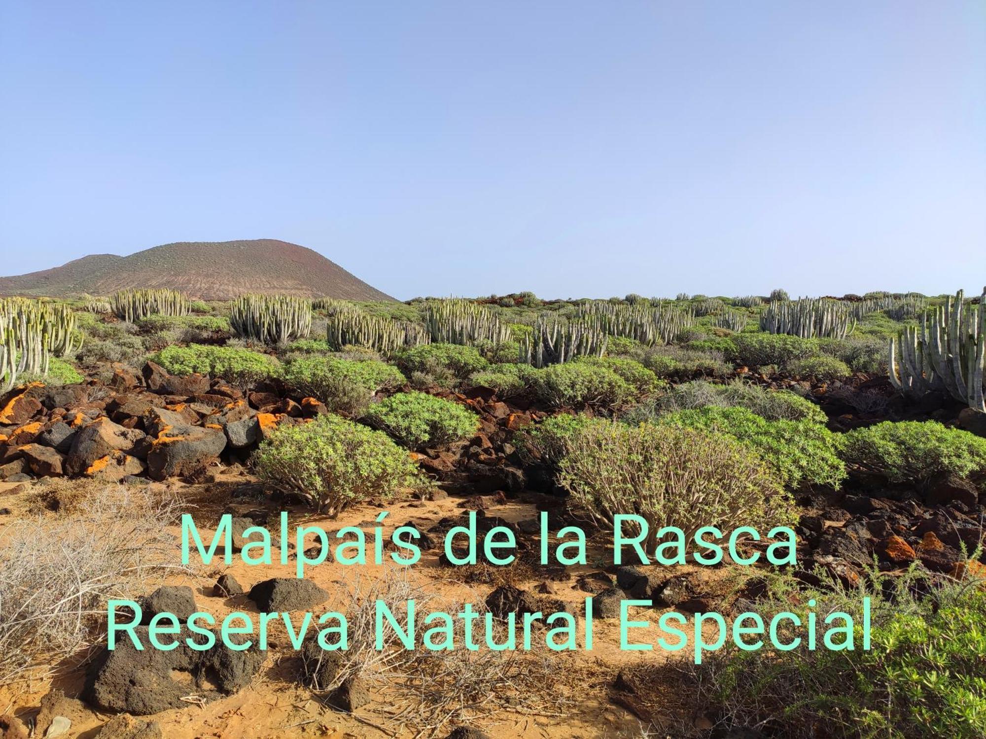 Tenerife Flamingo Appartement