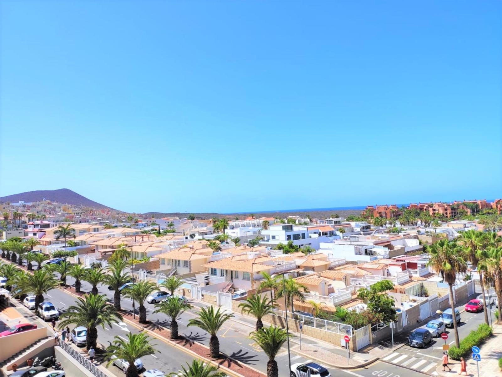 Tenerife Flamingo Palm-mar