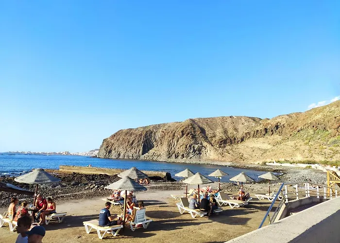 Tenerife Flamingo