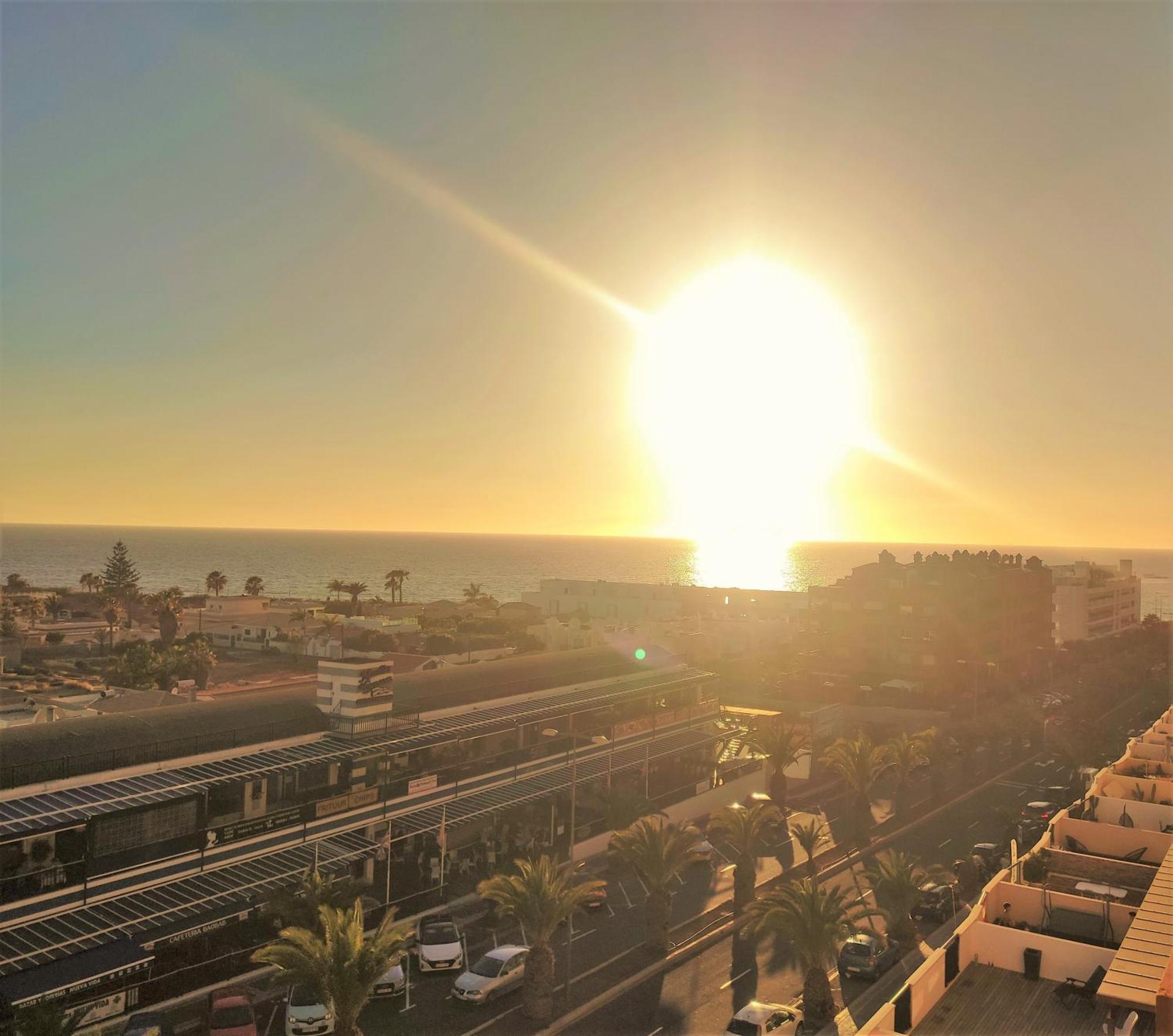 Tenerife Flamingo Apartment *